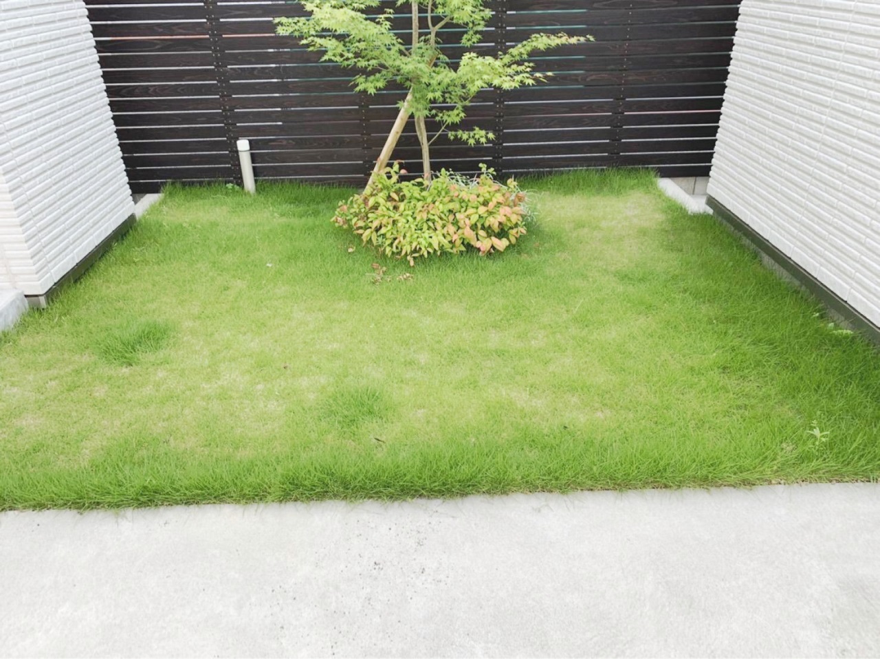 天然芝が敷き詰めてある中庭