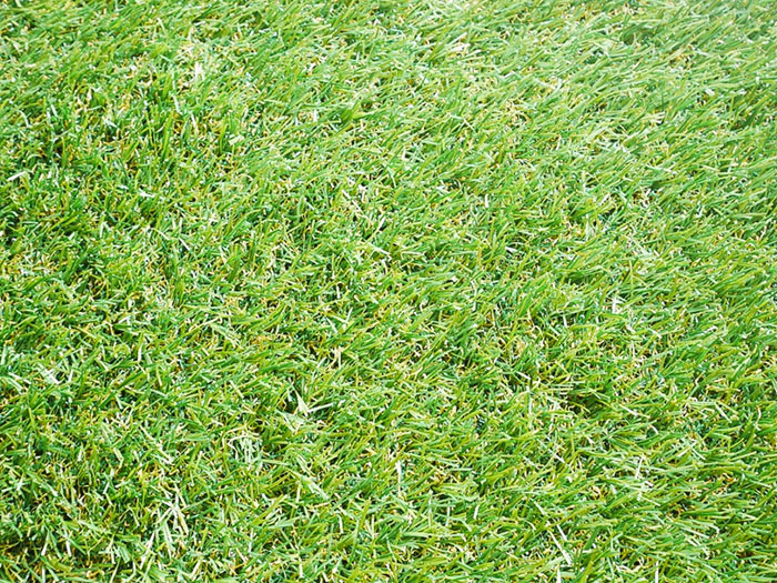 Ａ(エース)タイプ芝丈30mm