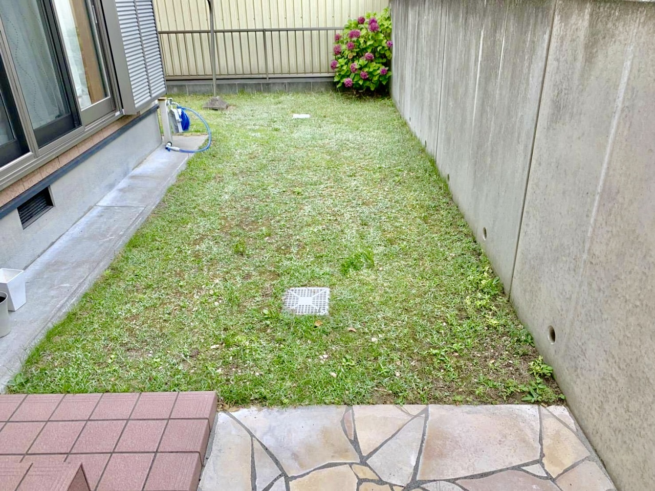 雑草が多い茂ったお庭