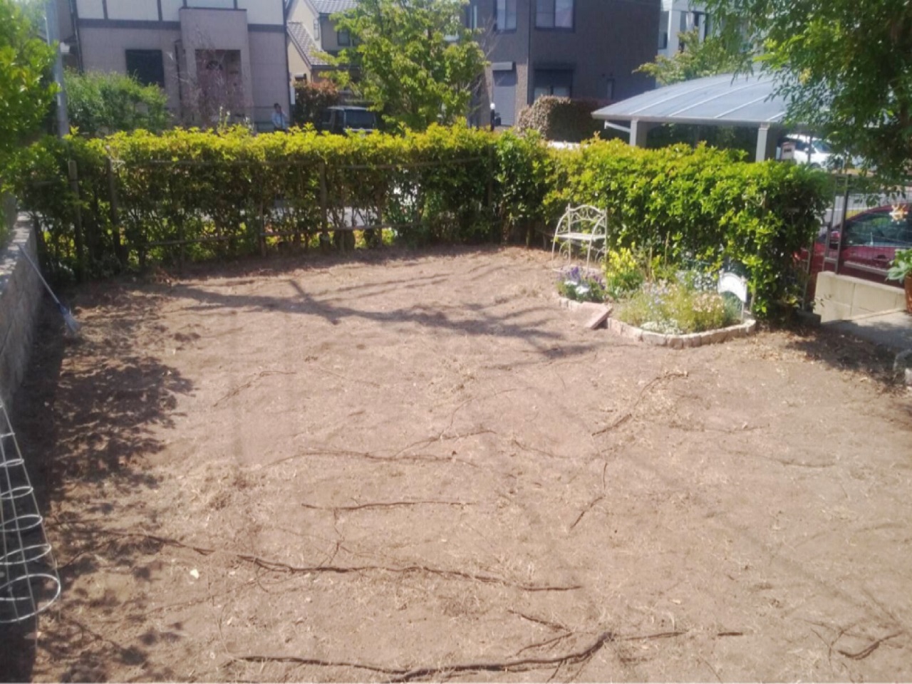 太い木の根がいくつも張り出ているお庭