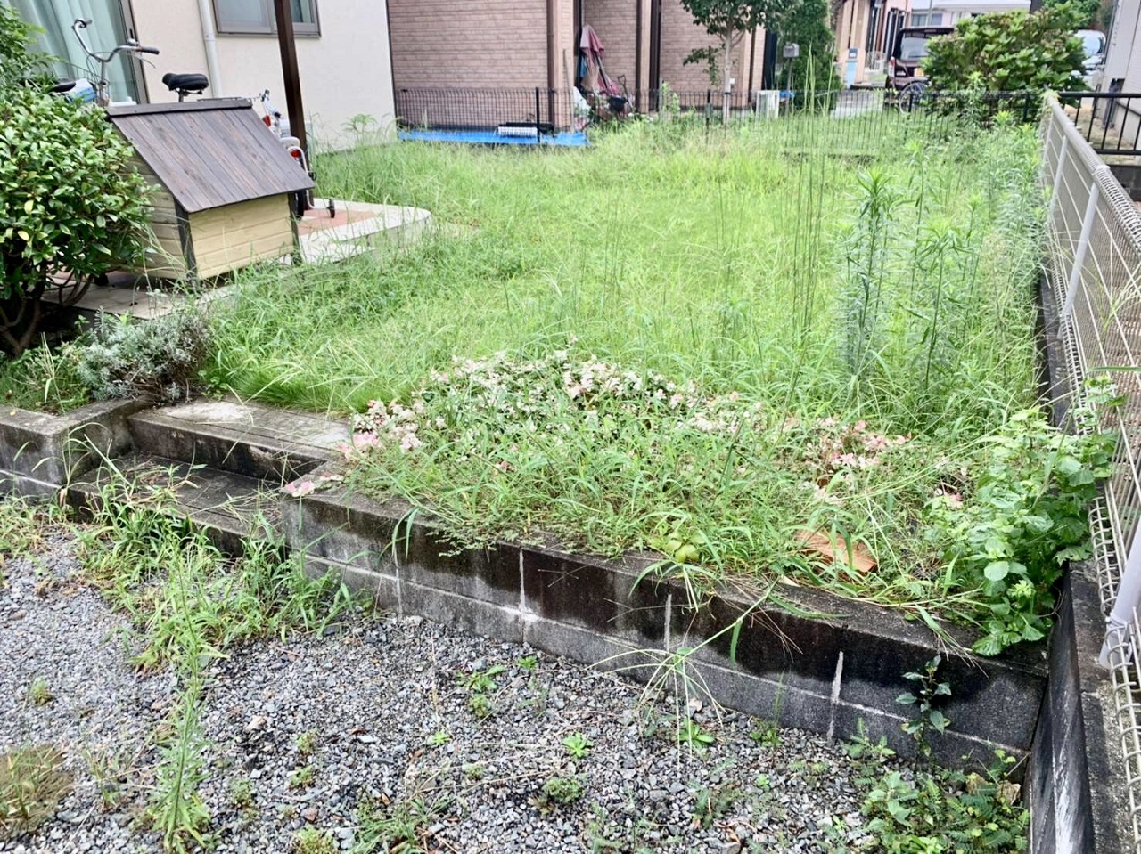 雑草が伸びて手に負えなくなってしまったお庭