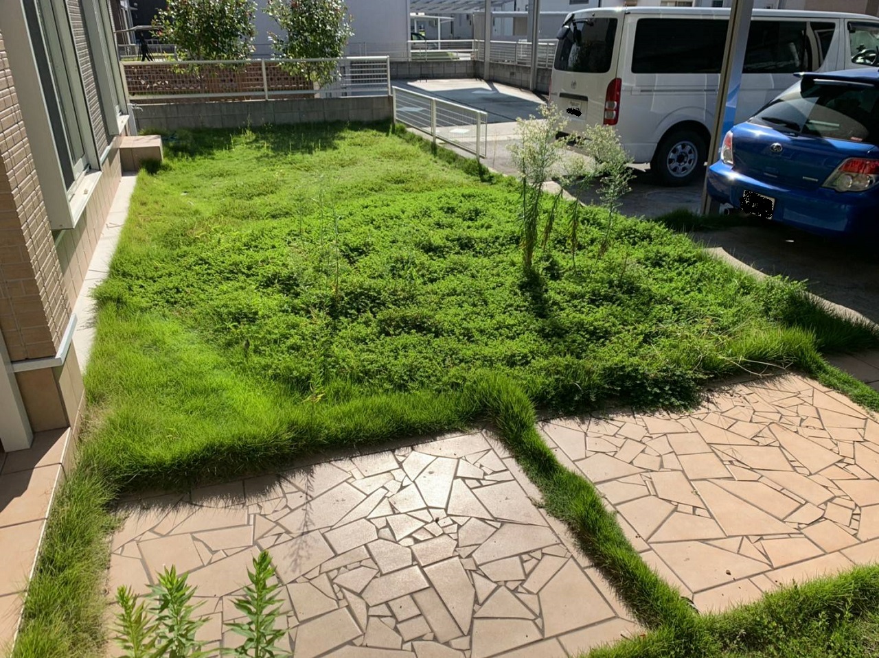 雑草が生い茂ってしまったお庭