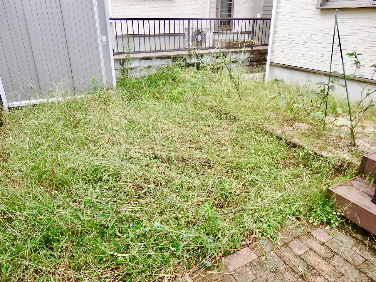 雑草が伸びてしまい手付かずのお庭