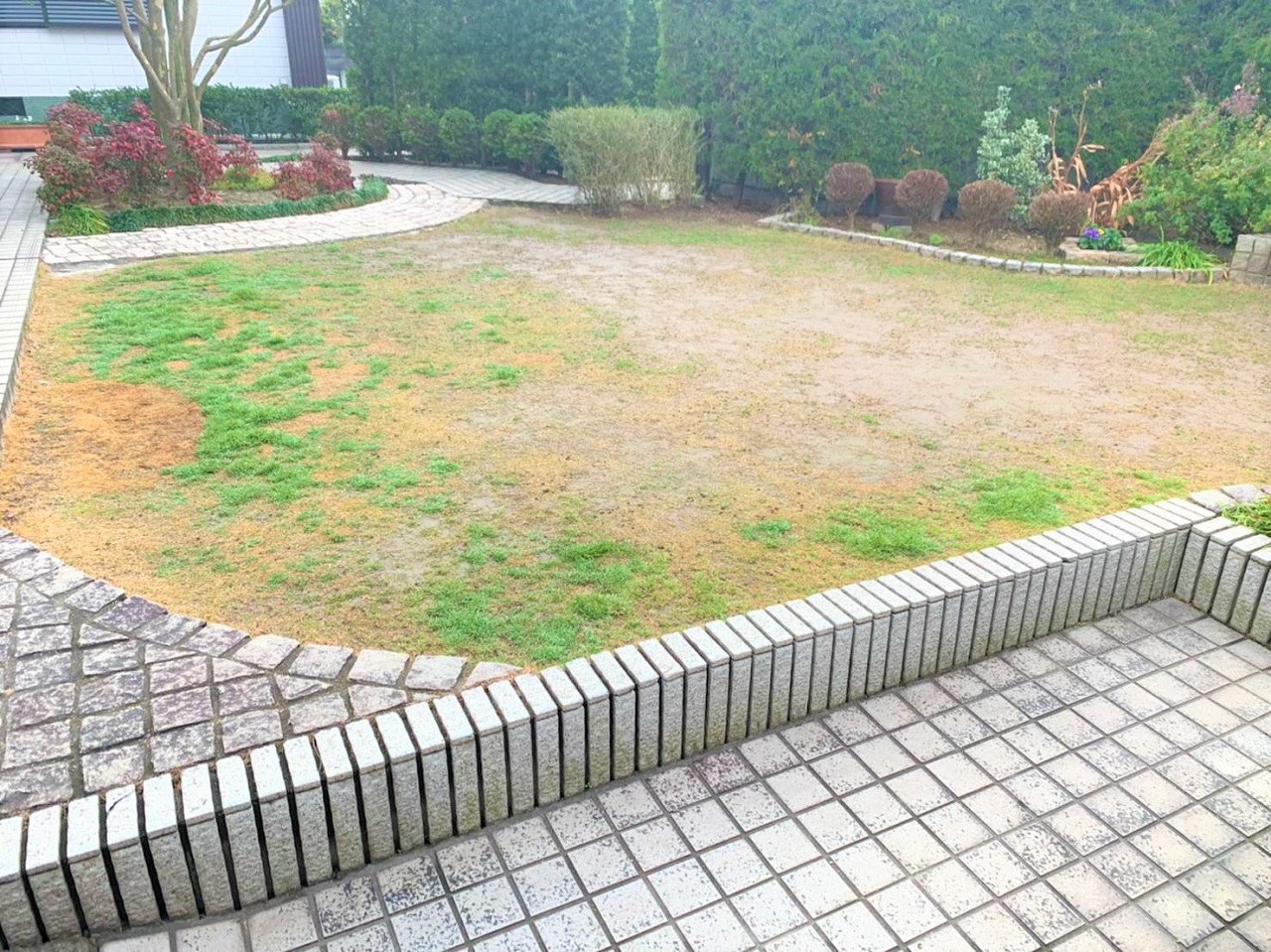 雑草がいたるところから生えているお庭