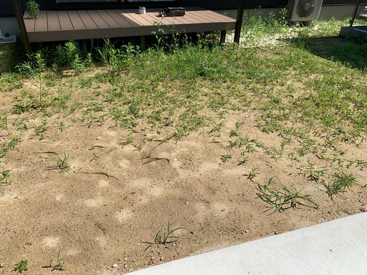 雑草処理が追い付かなくなったお庭