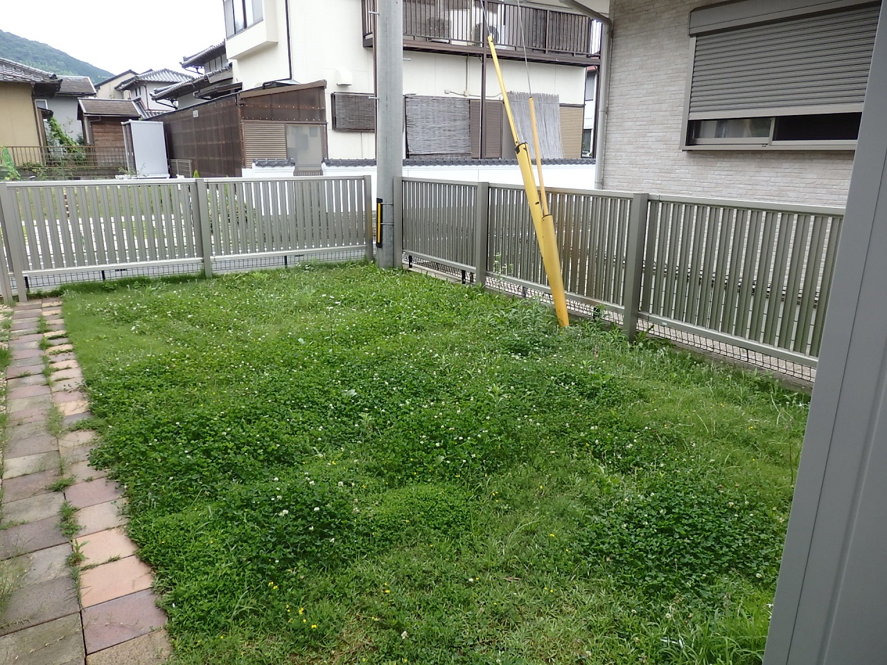 雑草が伸びてしまい手付かずになったお庭