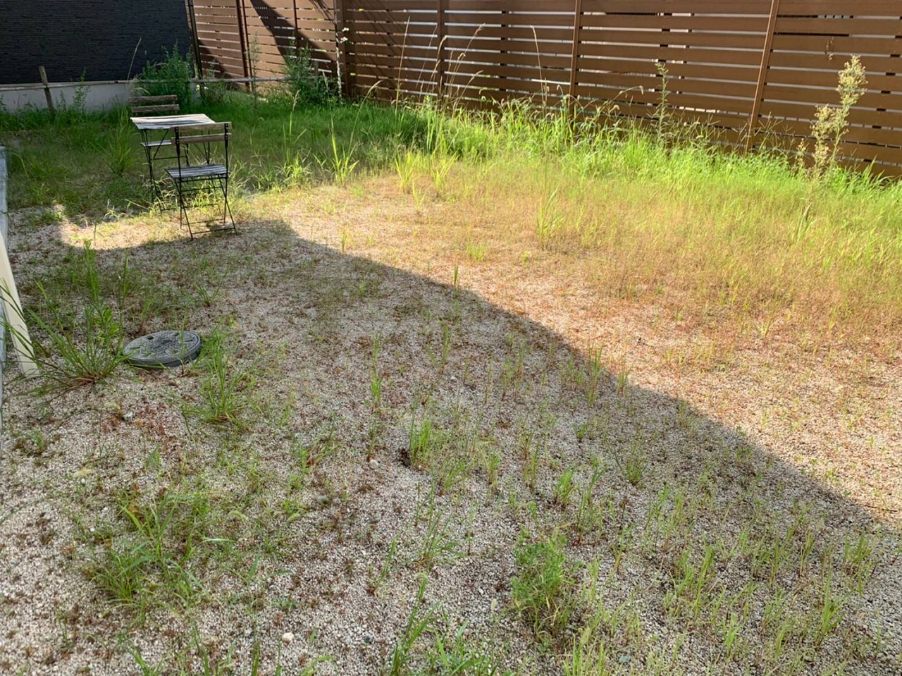 雑草が伸びてしまい手に負えなくなったお庭