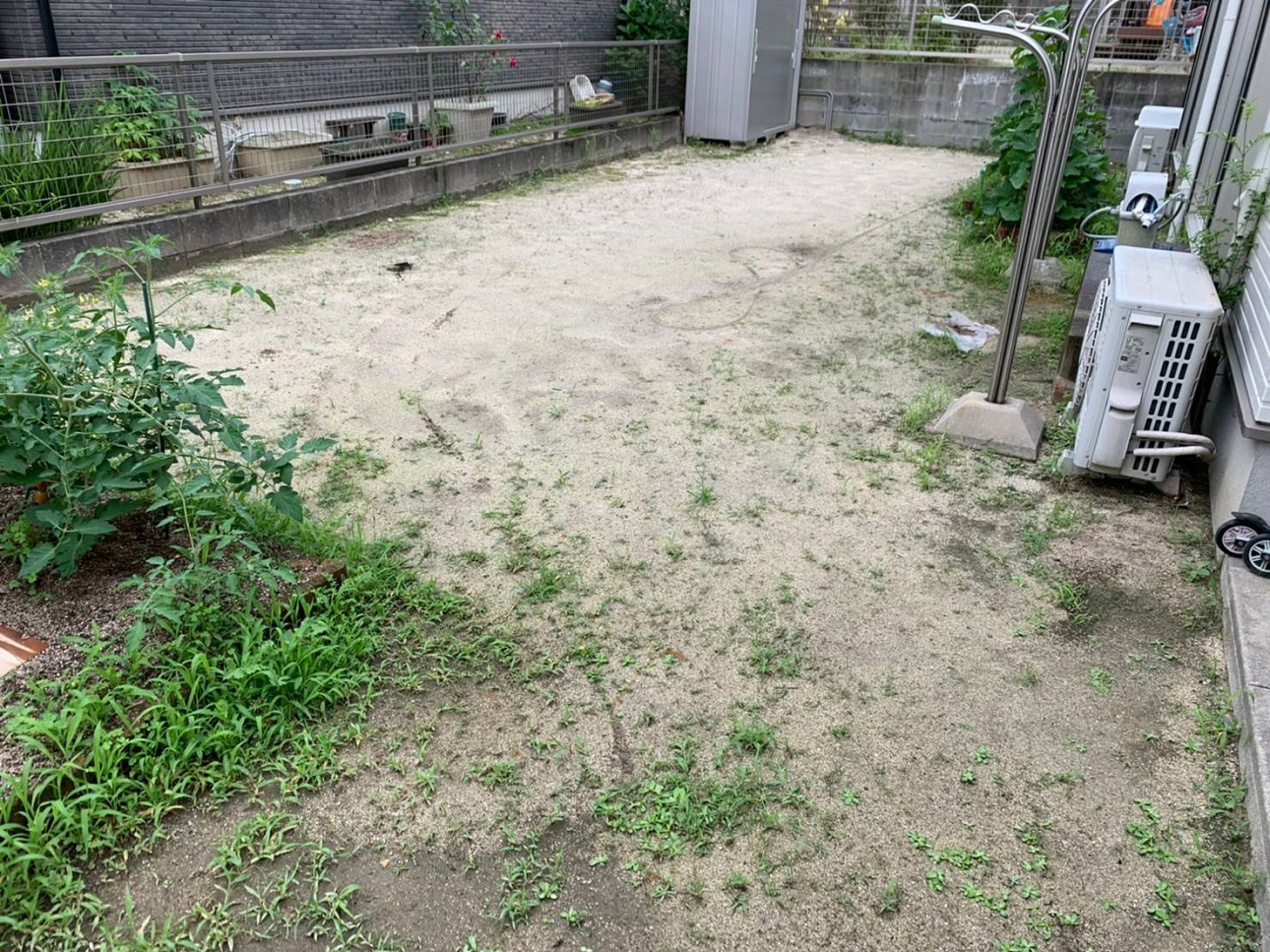 雑草が至るところから生えているお庭