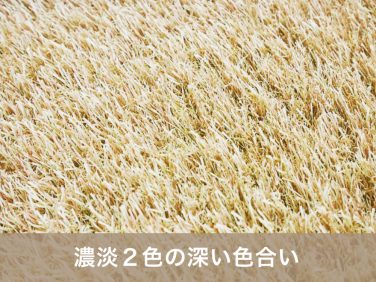 カラー人工芝でお洒落を演出